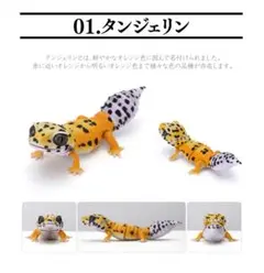 いきもの大図鑑 レプティ レオパードゲッコー レオパ タンジェリン 未開封