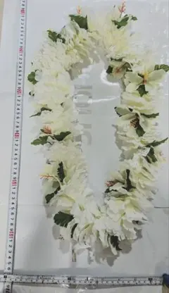 フラダンス用 ホワイトレイ