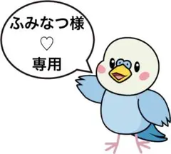 ふみなつ様♡専用
