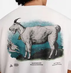 NIKE ACG all conditions goat T