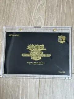 遊戯王 WCS2023 来場記念カード 2枚 1セット