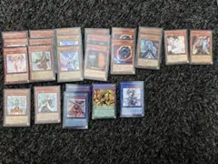 遊戯王OCG 粛清デッキ40枚　スリーブ付き