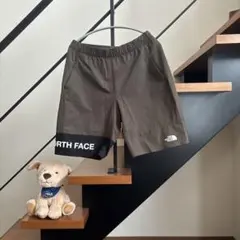 ザ・ノース・フェイス THE NORTH FACE エイペックスライトショーツ