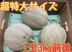 タマ様専用】夕張メロン個選品3玉 超特大1玉3kg前後常温 - メルカリ