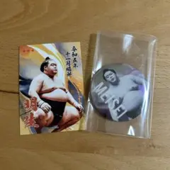 明生　二点セット