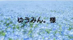 ゆうみん。様専用