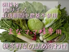 【まなママ様専用】秋冬野菜の詰め合わせ(栽培期間中農薬不使用)