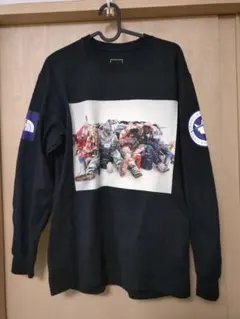 ノースフェイス アンタークティカ ロンT