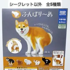 シークレット カプセルトイ