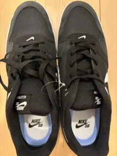 NIKE SB ALLEYOOP 29.0cm 新品未使用