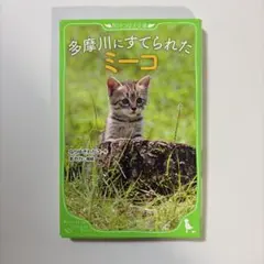 多摩川にすてられたミーコ