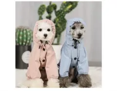 Item thumbnail for item 60067f4f-1751-4178-8b7e-c4c23451508f