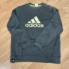 adidas グレー トレーナー