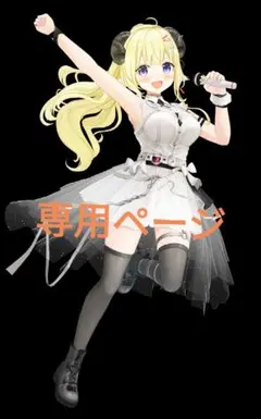 hositel様 リクエスト 2点 まとめ商品