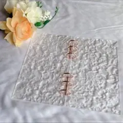 Item thumbnail for item 0bd59933-e01b-4bbb-9c14-e23c0e70746d