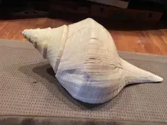 2026年最新】アラフラオオニシの人気アイテム - メルカリ