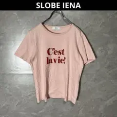 スローブ イエナ Celavie Tee Tシャツ ピンク カットソーのサムネイル
