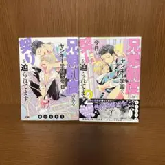 BL漫画まとめ売り