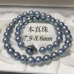 【美品/6.5-7.0mm】あこや真珠 グレーネックレス アコヤパール 2468 美品/6.5-7.0mm】あこや真珠 グレーネックレス アコヤパール 2468
