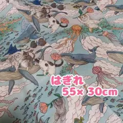 おとぎの国の猫と仲間たち　KOKKA　 ぬりえ本　シーチング生地　即日発送