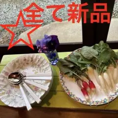 レトロカレー？・スープ皿？５/平皿２/スプーン５