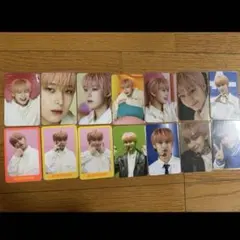 ENHYPEN DICON D'FESTA ソヌ 14枚セット