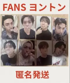 StrayKids FANS ヨントン　KARMA コンプ8枚セット