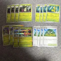 チコリータ ベイリーフ メガニウム 活力の森 セット