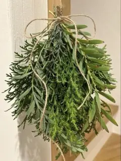 【数量限定】クリスマス　スワッグ　リース　ドライフラワー　コニファー　ナチュラル