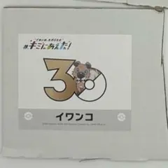 ポケモンセンターオンライン　キミにあえた！ 30周年記念ステッカー イワンコのサムネイル