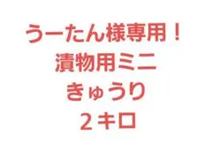 うーたん様専用！漬物用ミニきゅうり小さめ　２キロ