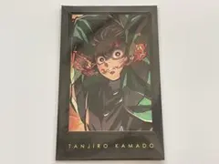 鬼滅の刃　竈門炭治郎　チェキ風ブロマイド　箔押し　ダイニング　柱稽古　①