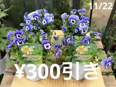 sako様 リクエスト 2点 まとめ商品