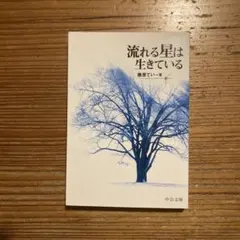 Item thumbnail for item 53b5eb91-d581-4c8c-ada0-25a3242e6881