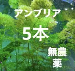 Mymoo★2点以上でおまとめ割引あり★様 リクエスト 2点 まとめ商品