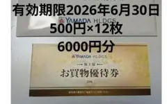 ヤマダ電機 お買物優待券 500円×12枚