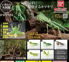 いきもの大図鑑　かまきり04 ガシャポン　カプセルトイ