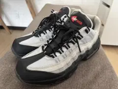 2025年最新】95エアマックス 鯉の人気アイテム - メルカリ