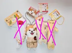 Swallow様　コス秋田犬