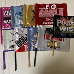 LDH フラッグセット