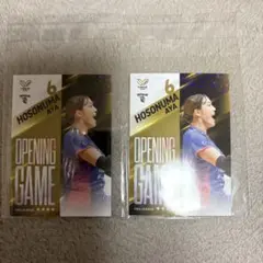 Item thumbnail for item 6bdacc79-a575-482c-967c-35e66ba78c70