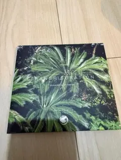 TRANSFIGURATION compiled by DJ AMIGA