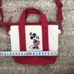 Item thumbnail for item 05a6cde7-c80c-4b09-857e-c4343cf65c46