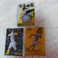 阪神タイガース　3枚セット 森下翔太・近本光司・佐藤輝明