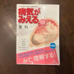 2025年最新】病気がみえる 産科の人気アイテム - メルカリ
