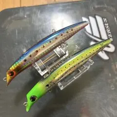 Item thumbnail for item 52e7687e-3f37-498c-bc95-f3272171c00b