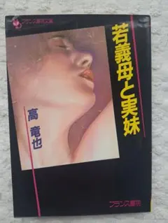 フランス書院文庫　高竜也