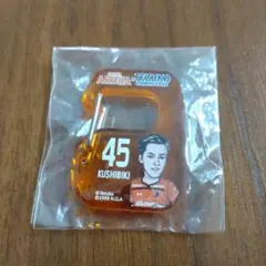 Item thumbnail for item a52963ad-04ea-489b-8651-9eb07ff259dc