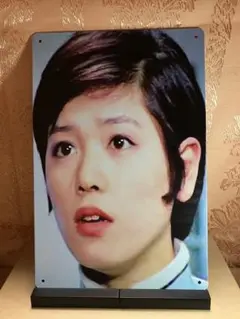 ウルトラ警備隊 アンヌ隊員 ブリキ・ プレート 送料込