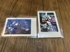 いれいす If 実写チェキ 2枚セット